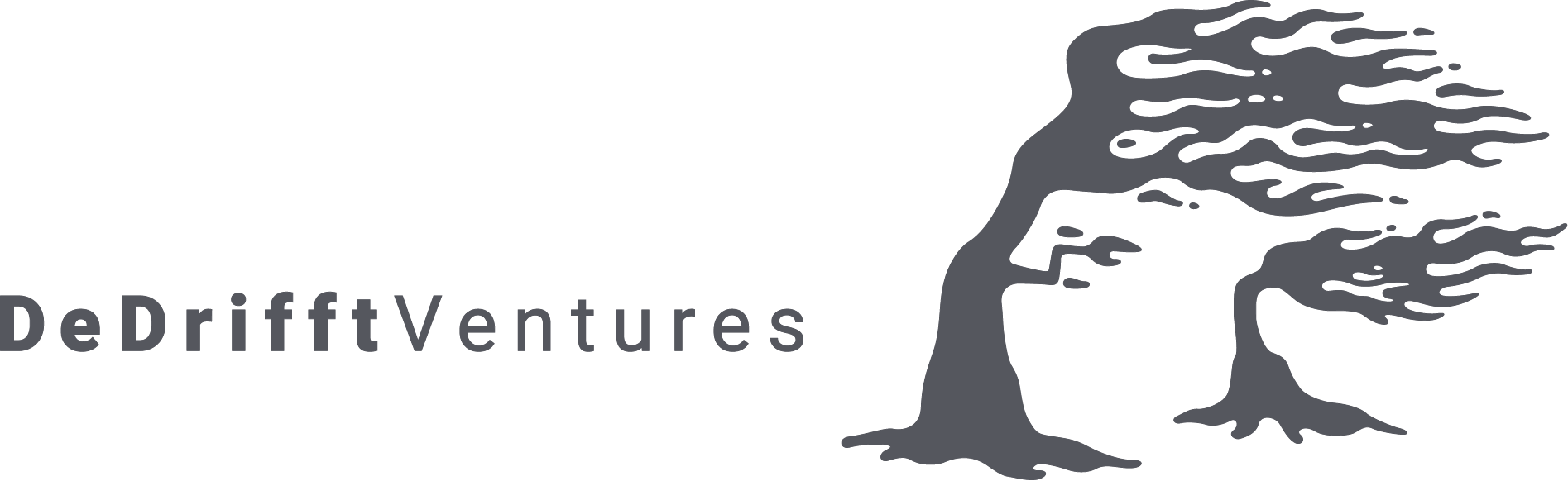 logo_DeDrifft